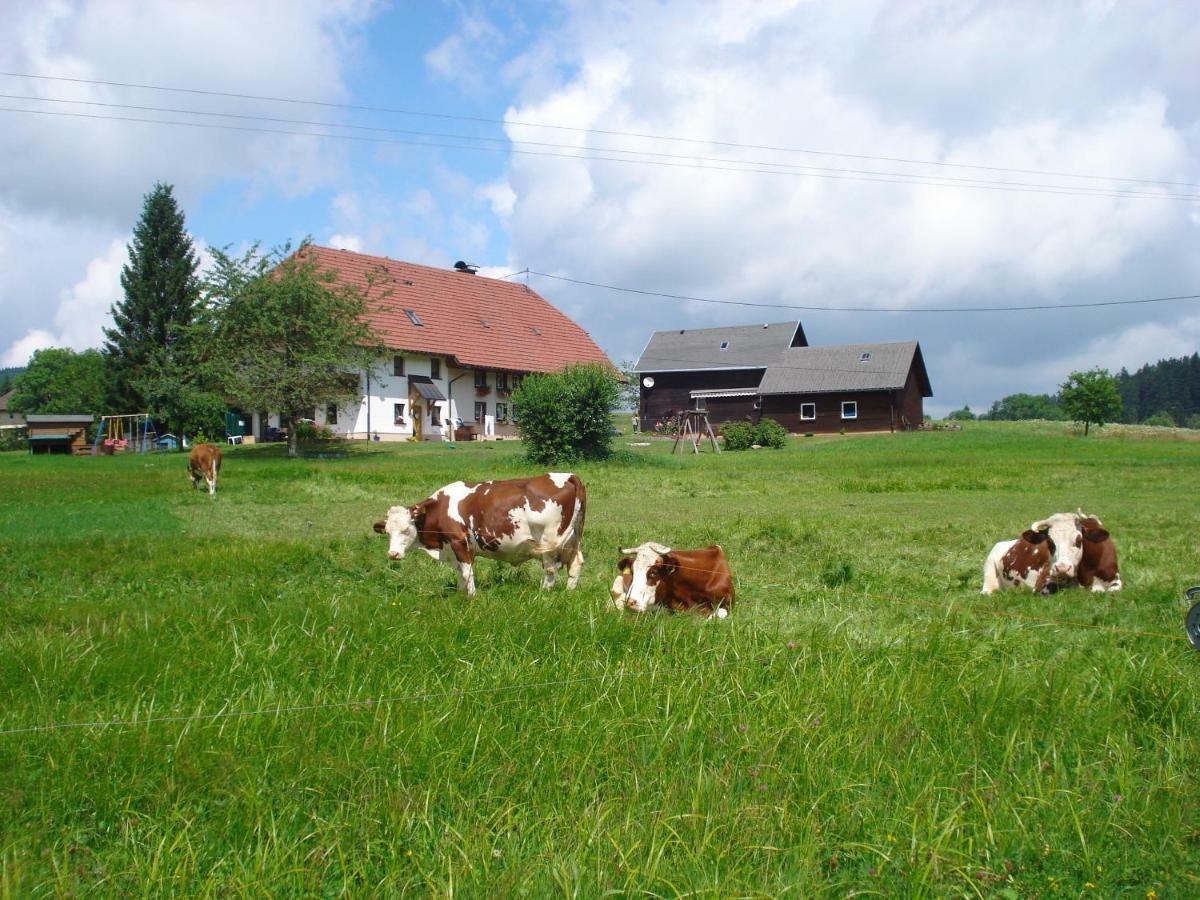 Ferienhaus Ehinger Apartamento Breitnau Exterior foto
